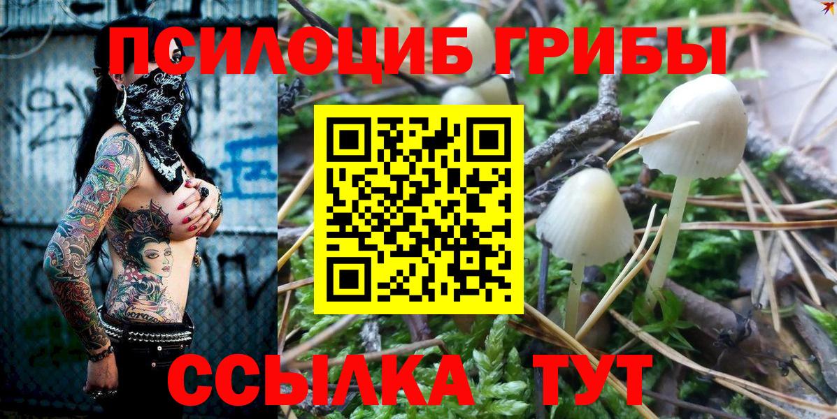 Галлюциногенные грибы Cubensis Муравленко